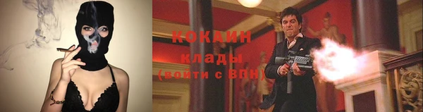 дмт Аркадак