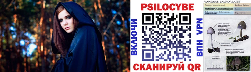 Псилоцибиновые грибы Psilocybine cubensis  купить наркоту  Буй 